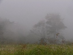 霧の龍神平